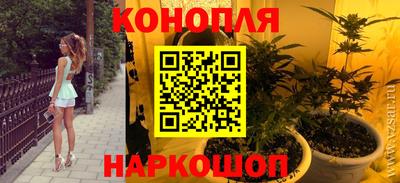 СК Дубна