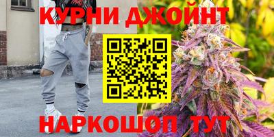 СК Дубна