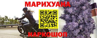 СК Дубна