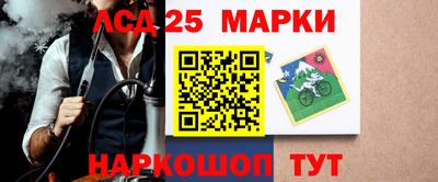 Альфа ПВП Донецк