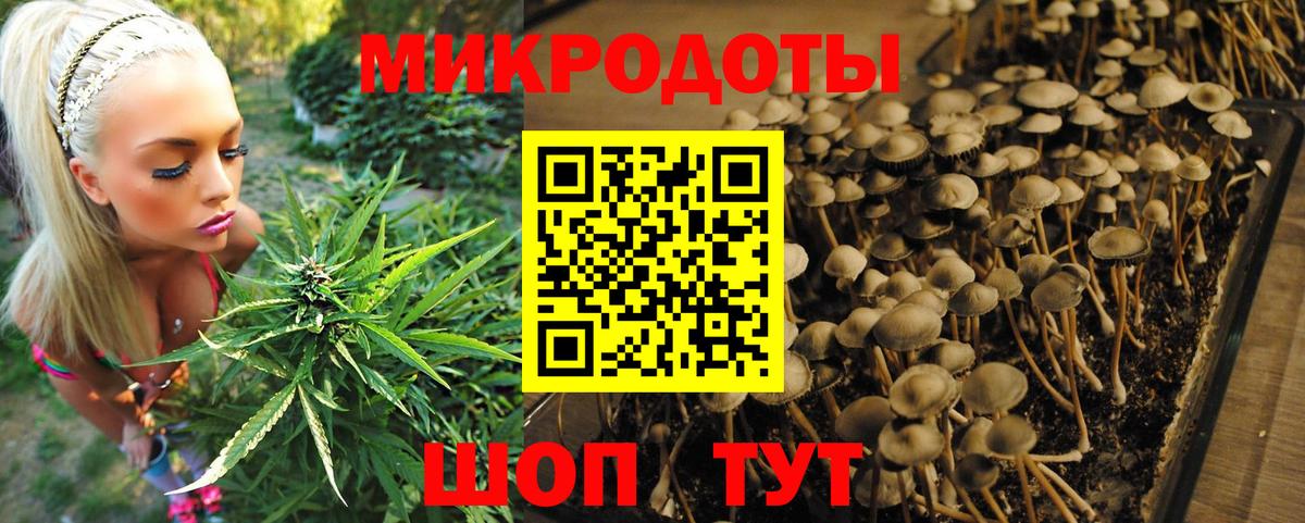 Псилоцибиновые грибы прущие грибы  Вход с VPN  Кореновск 